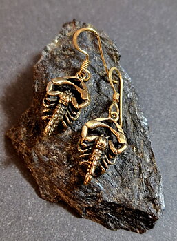 Örhängen Brons - Skorpion