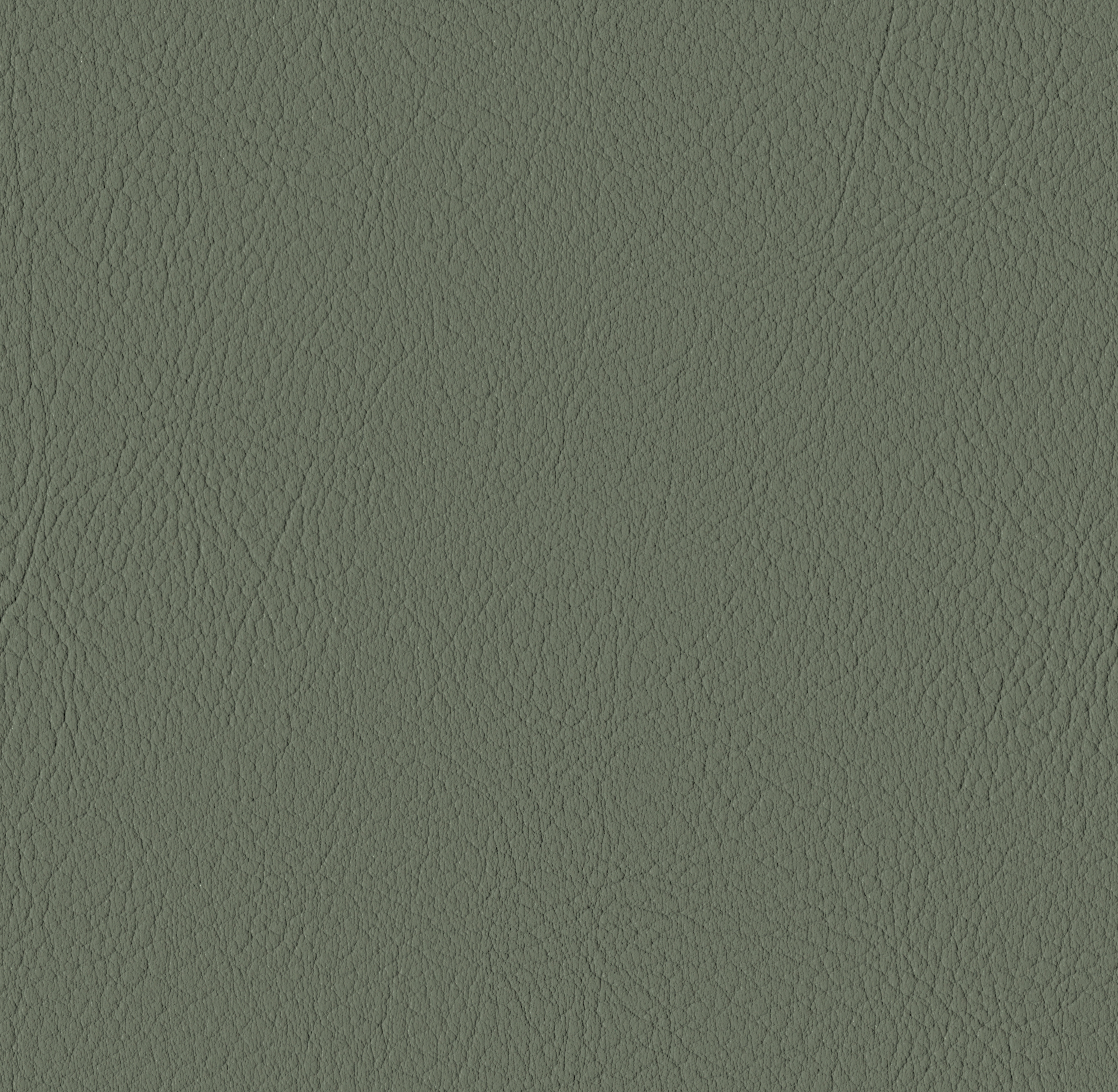Valencia Pine