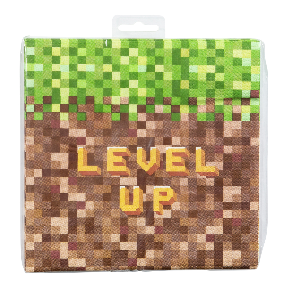 Servetter  Minecraft Pizel Level Up 33x33cm 16st