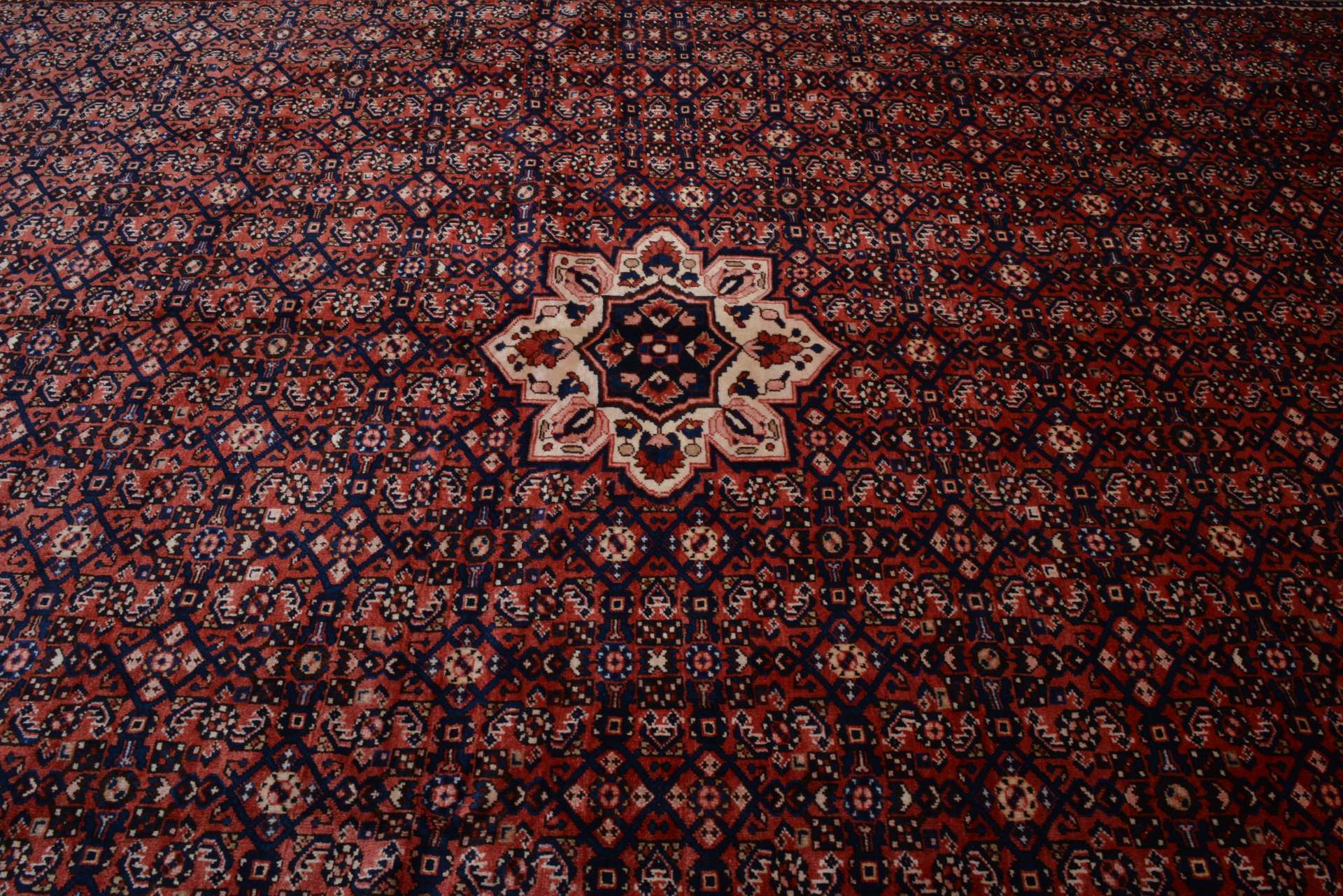 Hosseinabad 333x441cm - 5