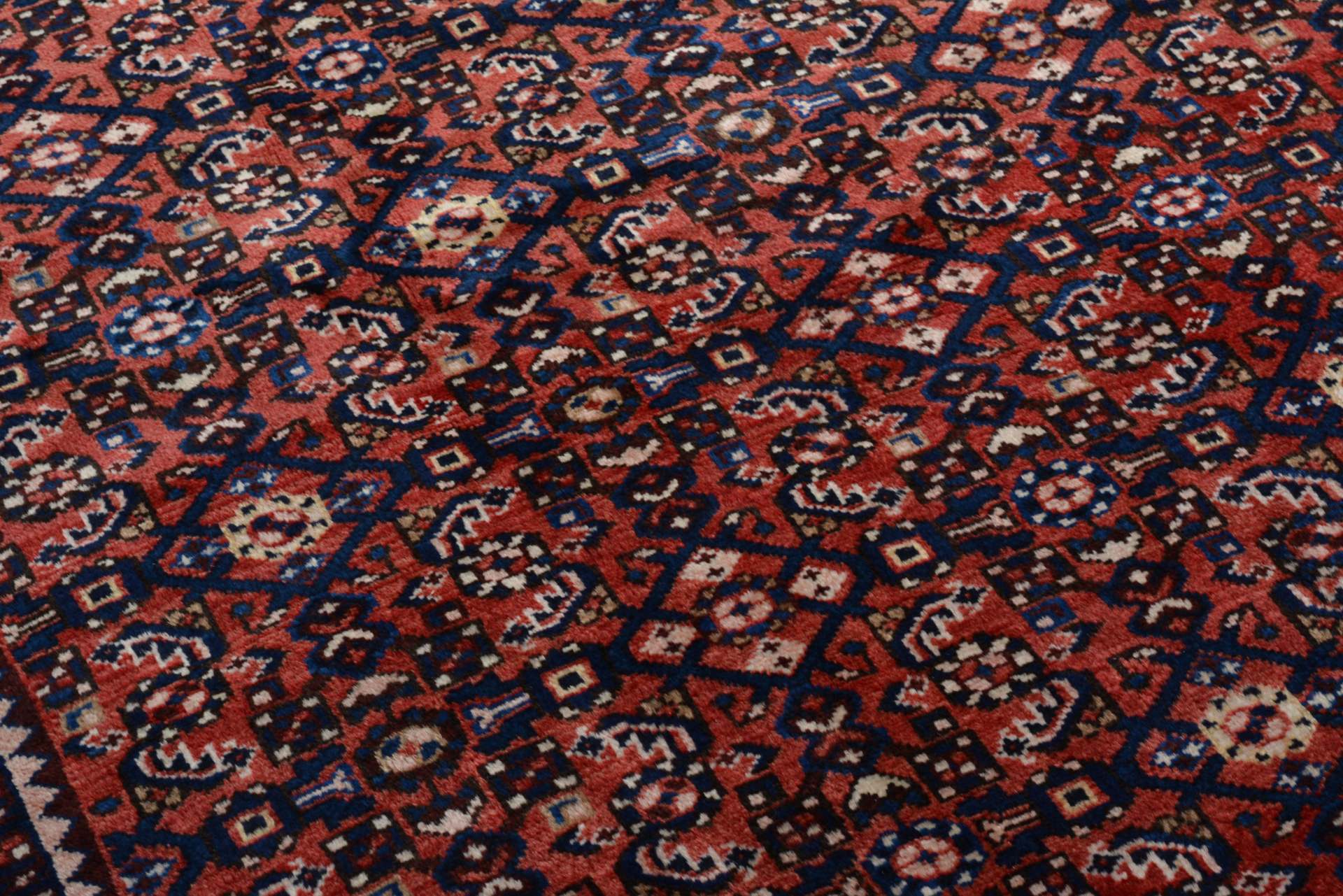 Hosseinabad 333x441cm - 4