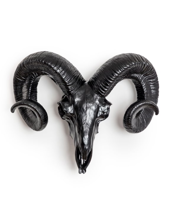 Black Horn Skull - Väggdekoration - 2