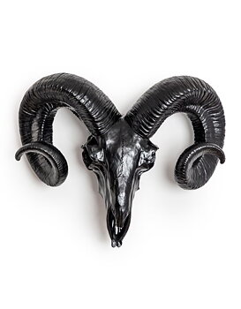 Black Horn Skull - Väggdekoration