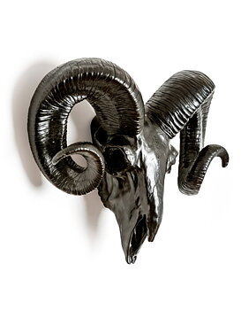 Black Horn Skull - Väggdekoration