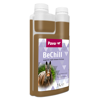 Pavo BeChill