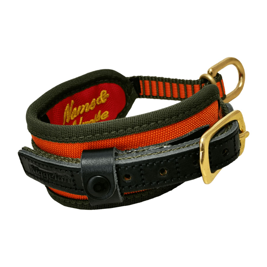 Niggeloh DELUXE Orange Spårhalsband - 2