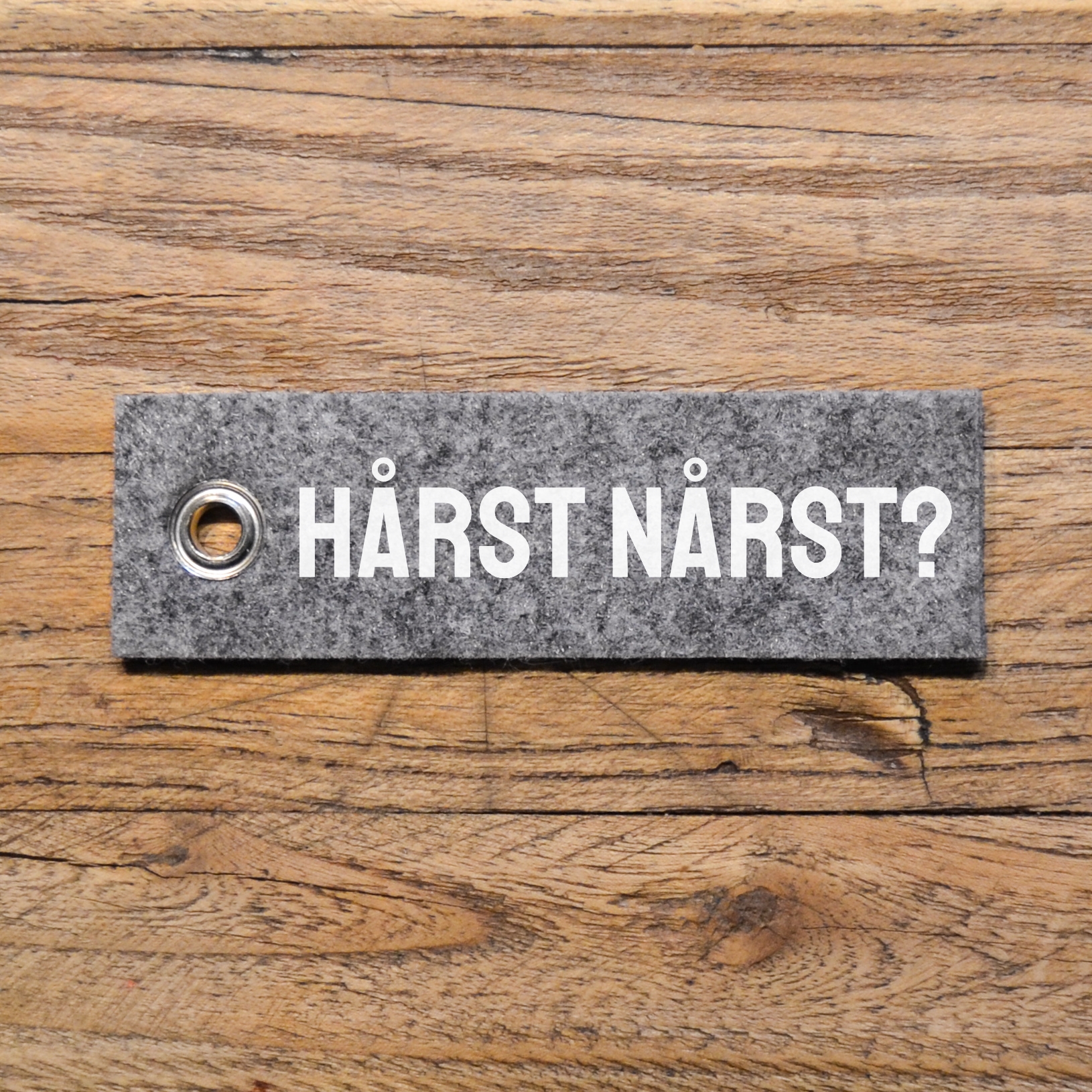 Nyckelbricka "Hårst nårst?"