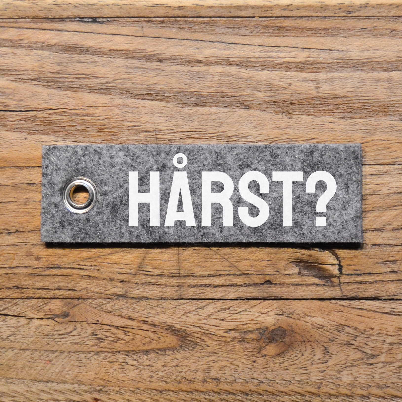 Nyckelbricka "Hårst?"