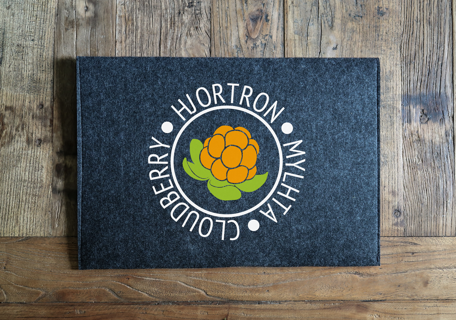 Laptopfodral - Hjortron Cirkel (färg)