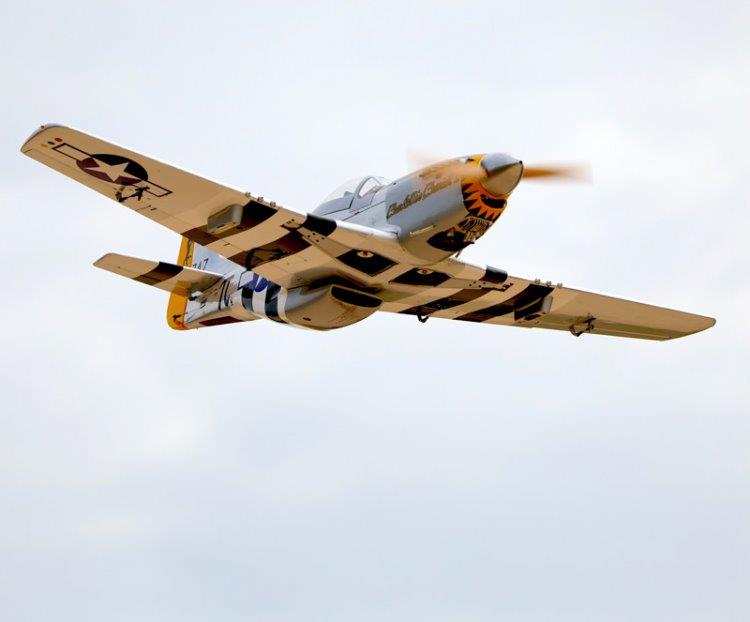 Seagull North American P-51D Charlotte Chariot II 35cc 180cm Ellandsställ - 5