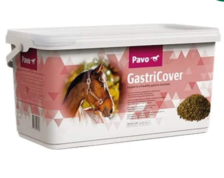Pavo GastriCover