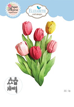 Elizabeth - Tulip - Dies