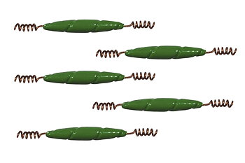 Spiralsänke 5-pack