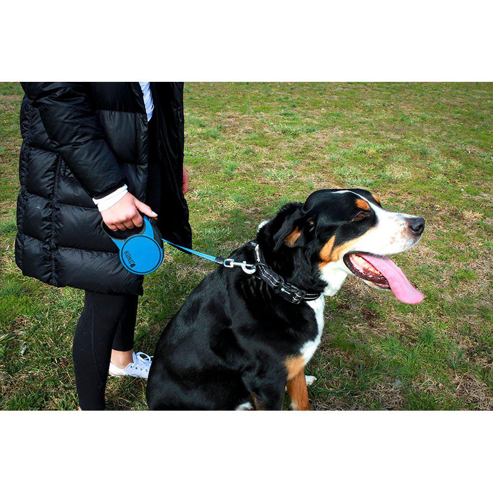 Kong Rullkoppel Terrain Xs 3m Band Max 12kg - 4