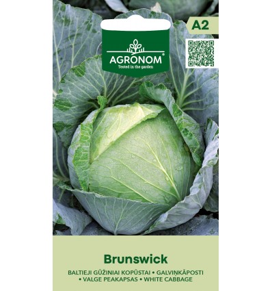 Vitkål "Brunswick"