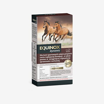 Equinox Dynamic