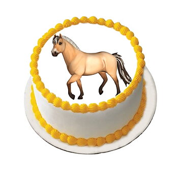 Hest 11 R