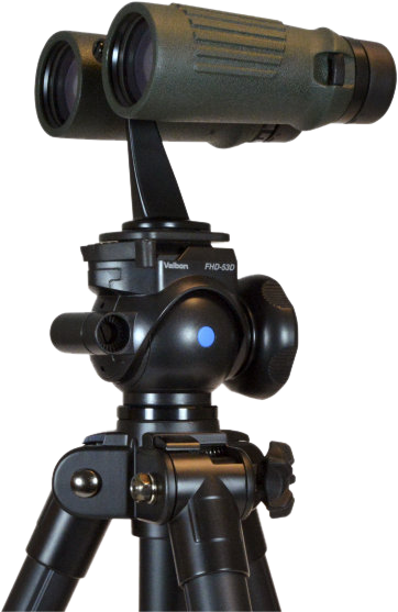 Focus Tripod Adapter Model L - 2