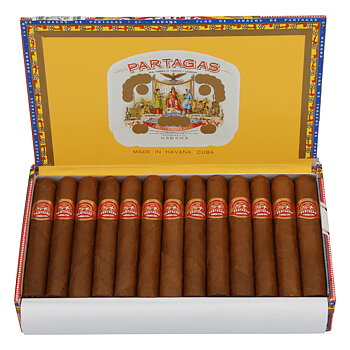 Partagas Shorts