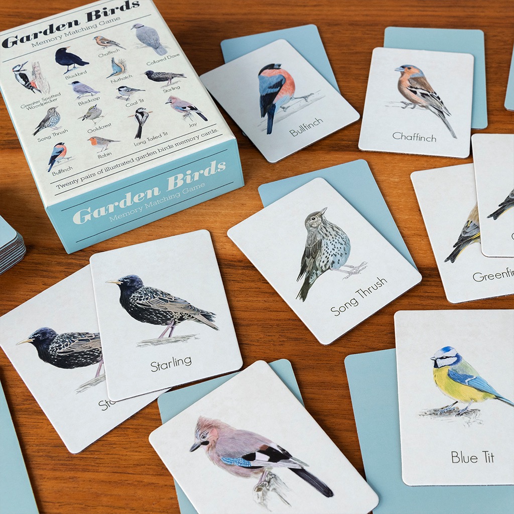 Memory / Birds