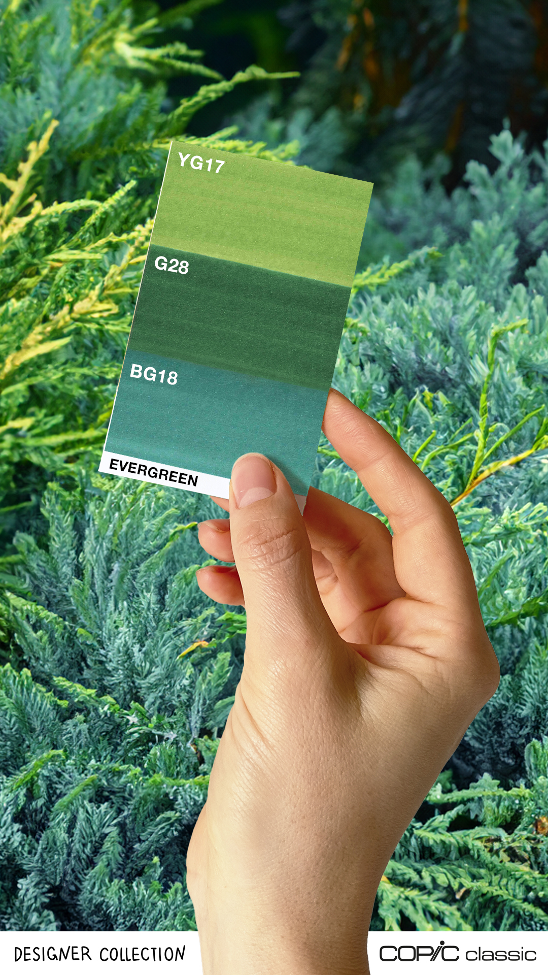 Copic Classic Set 3, Evergreen - 5