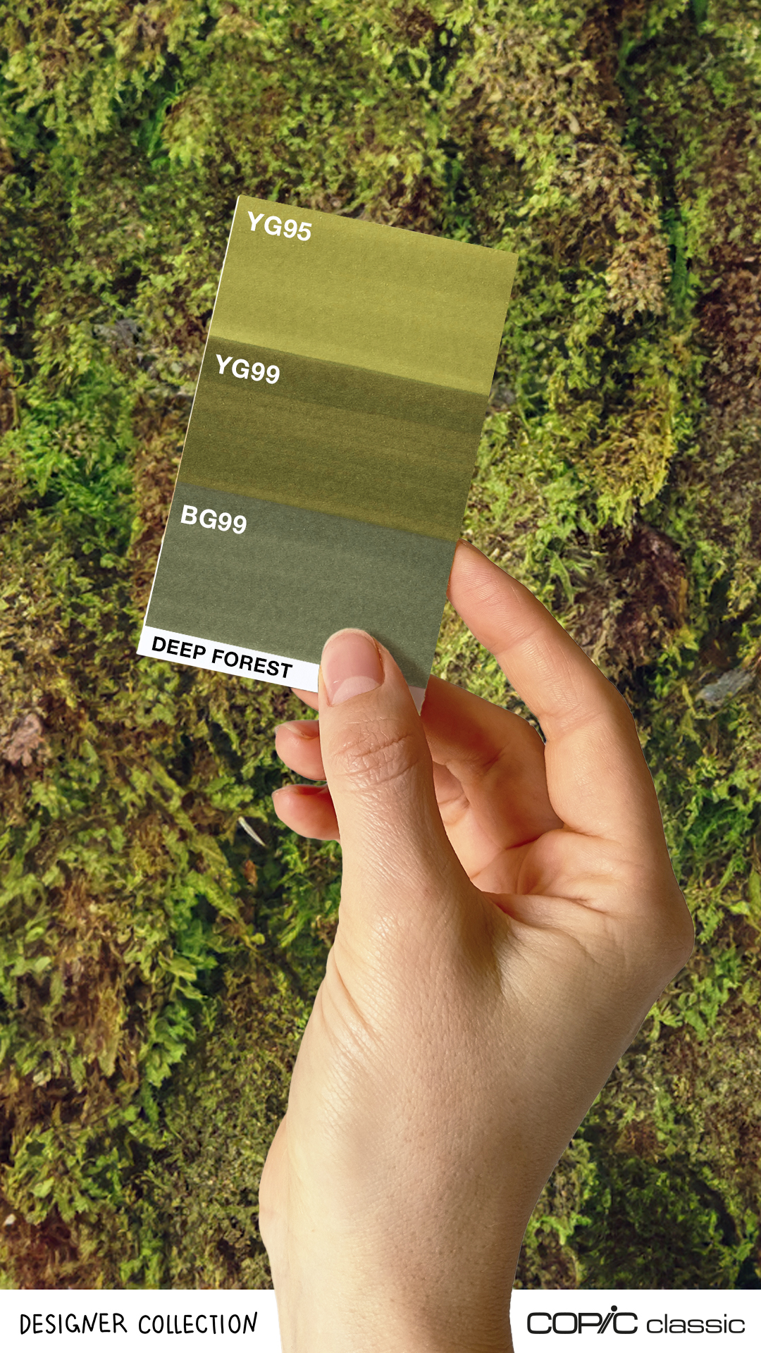 Copic Classic Set 3, Deep forest - 5
