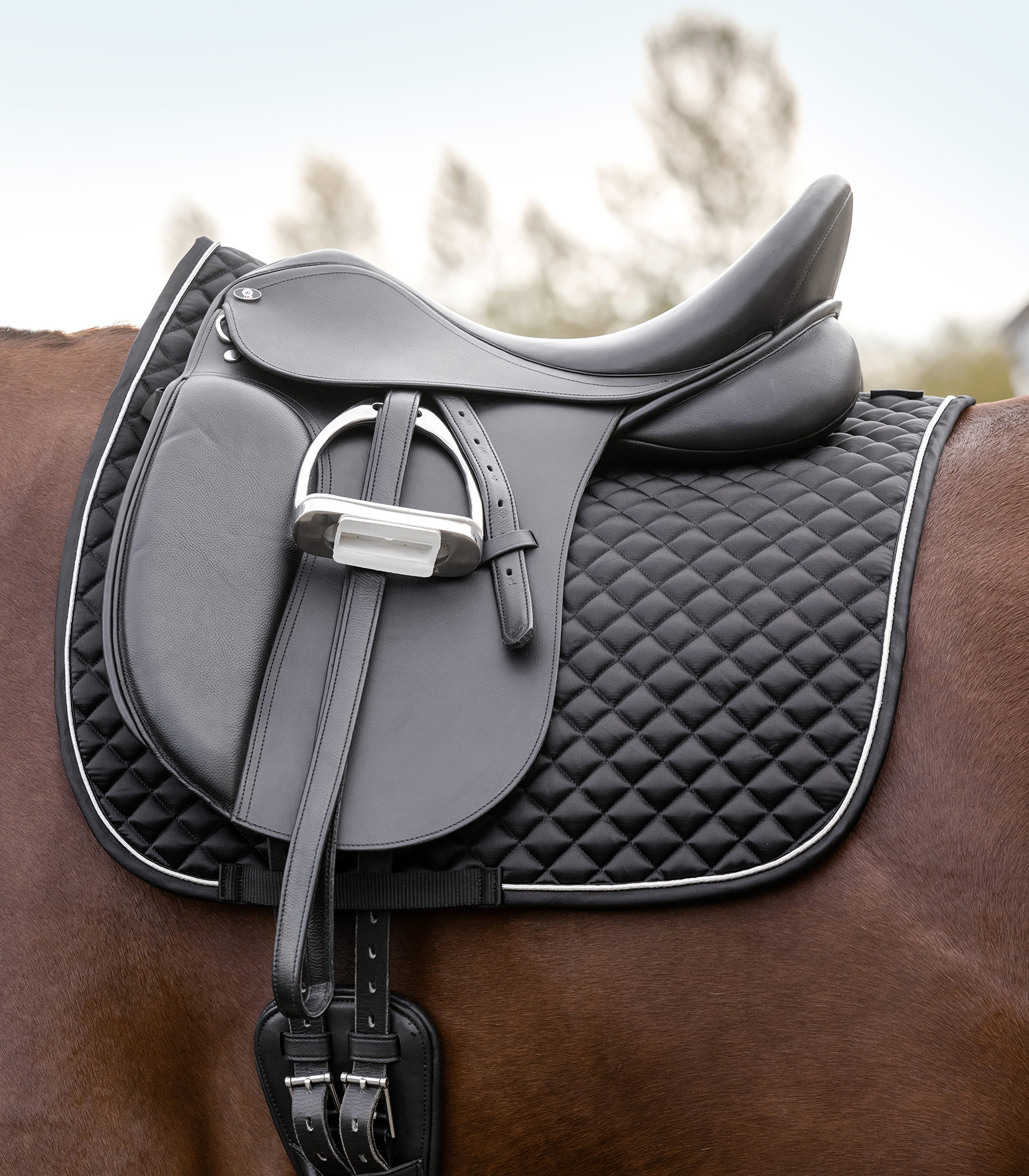 Waldhausen Felix Glam Schabrak - Svart - 2
