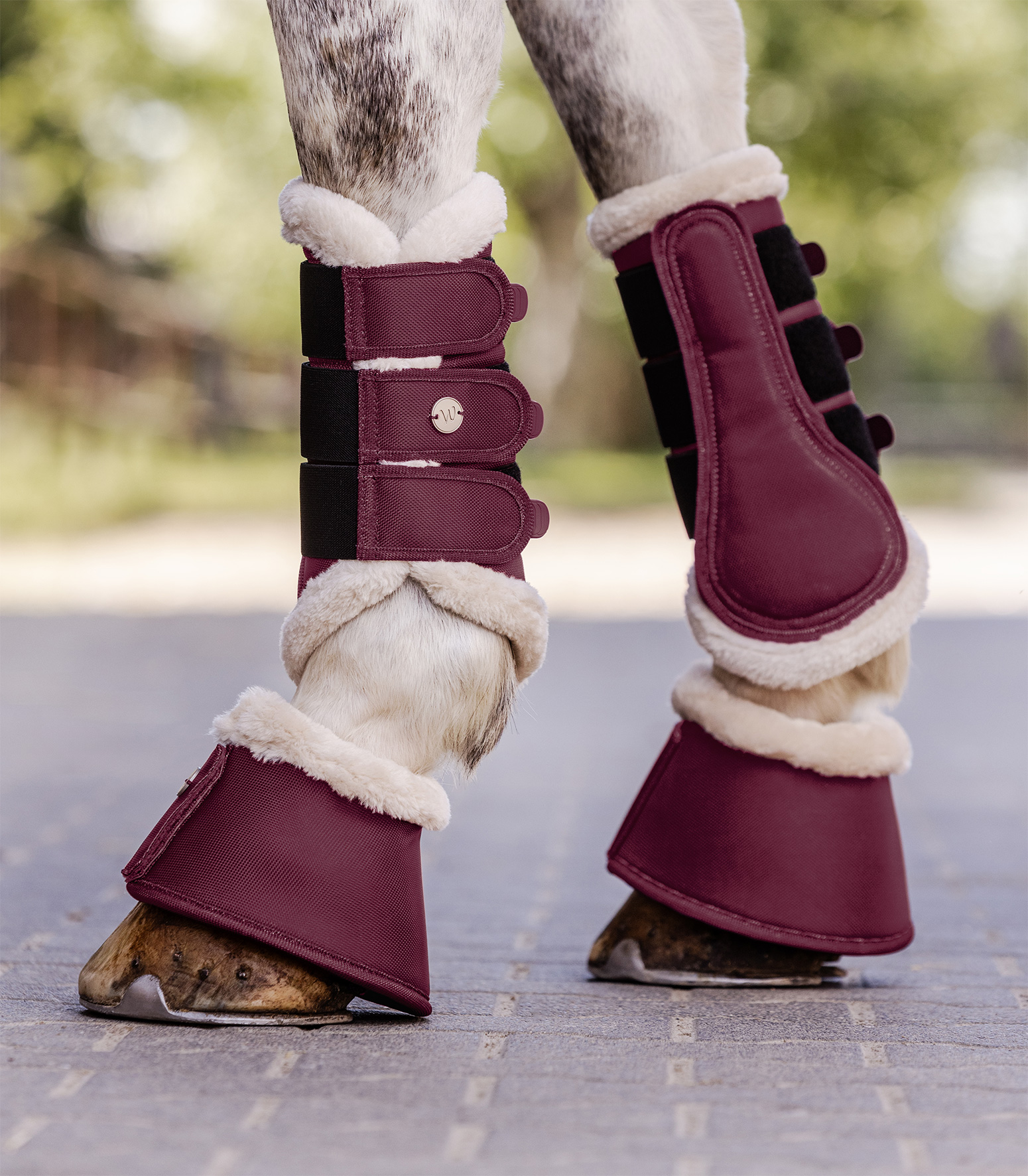 Waldhausen Comfort Light dressage boot - Velvet red - 2
