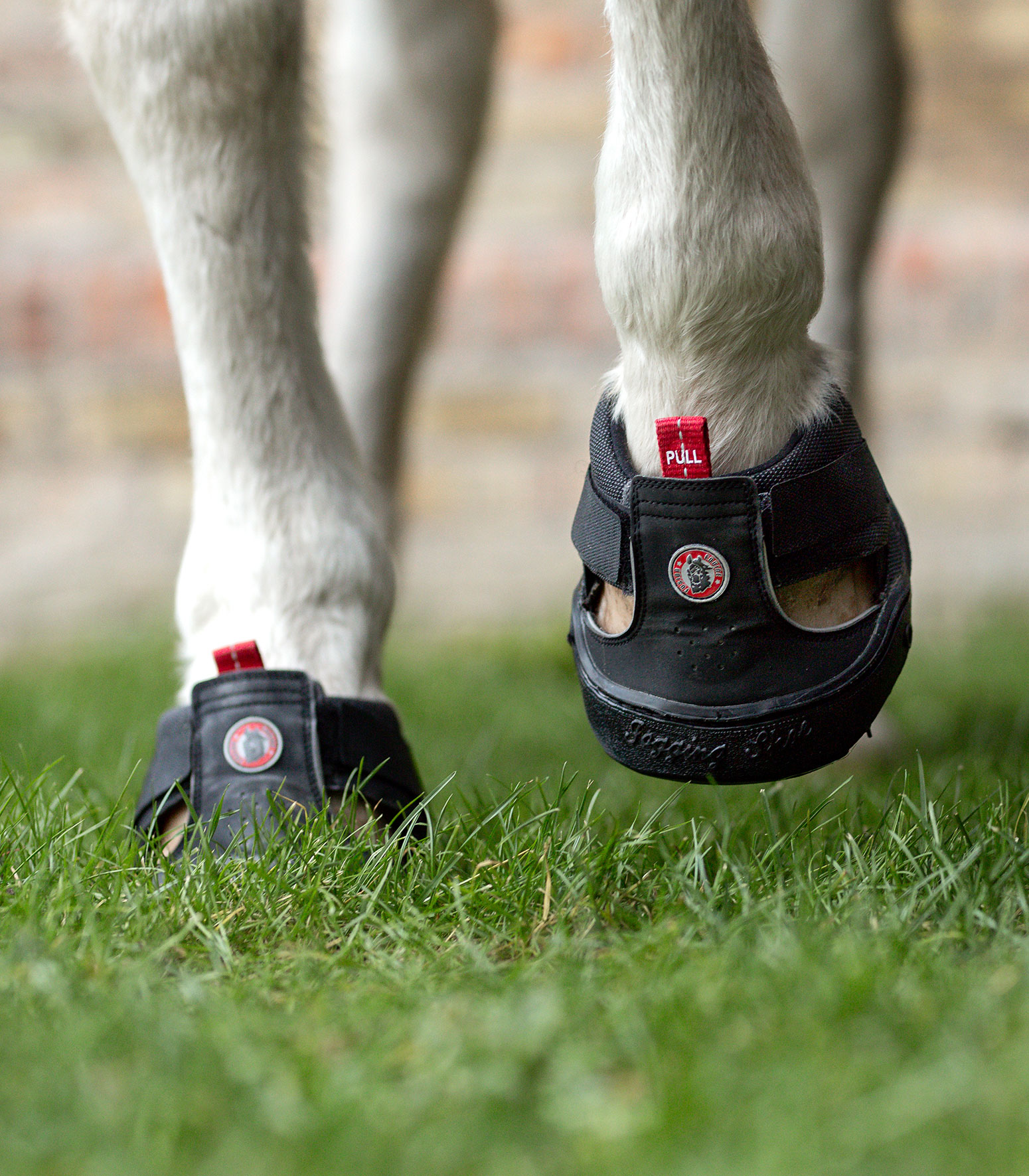 Equine Fusion Barfotaboot - Svart - 4