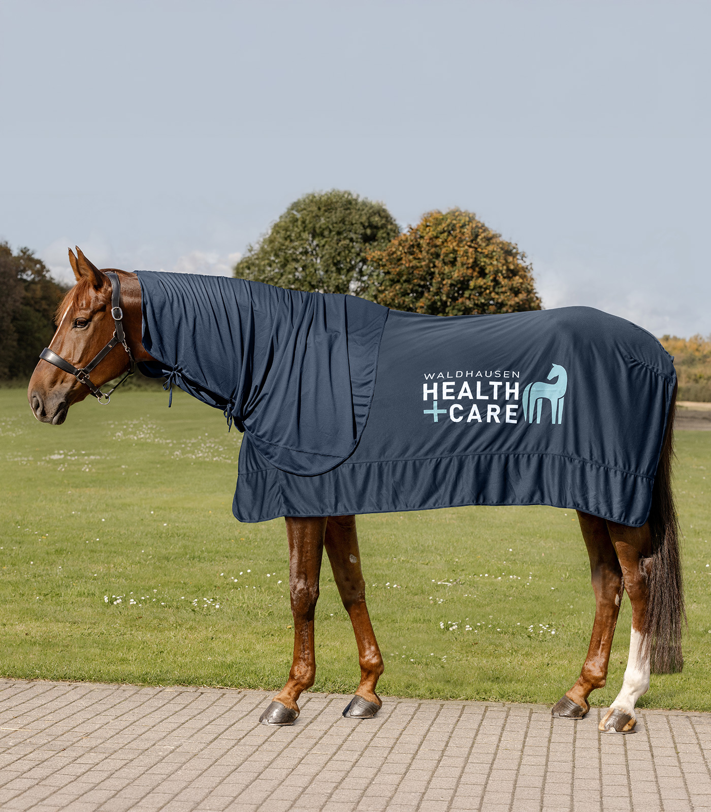 Waldhausen Health + Care Ice Layer Kjølende Halsdel - Night Blue - 4