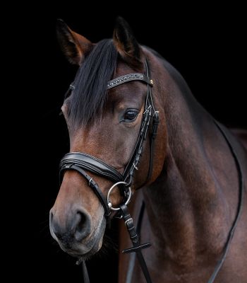 Waldhausen S-Line Patent Bridle Blackshine - Black - 2