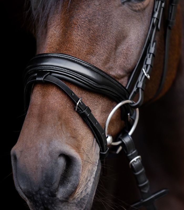 Waldhausen S-Line Patent Bridle Blackshine - Black - 4