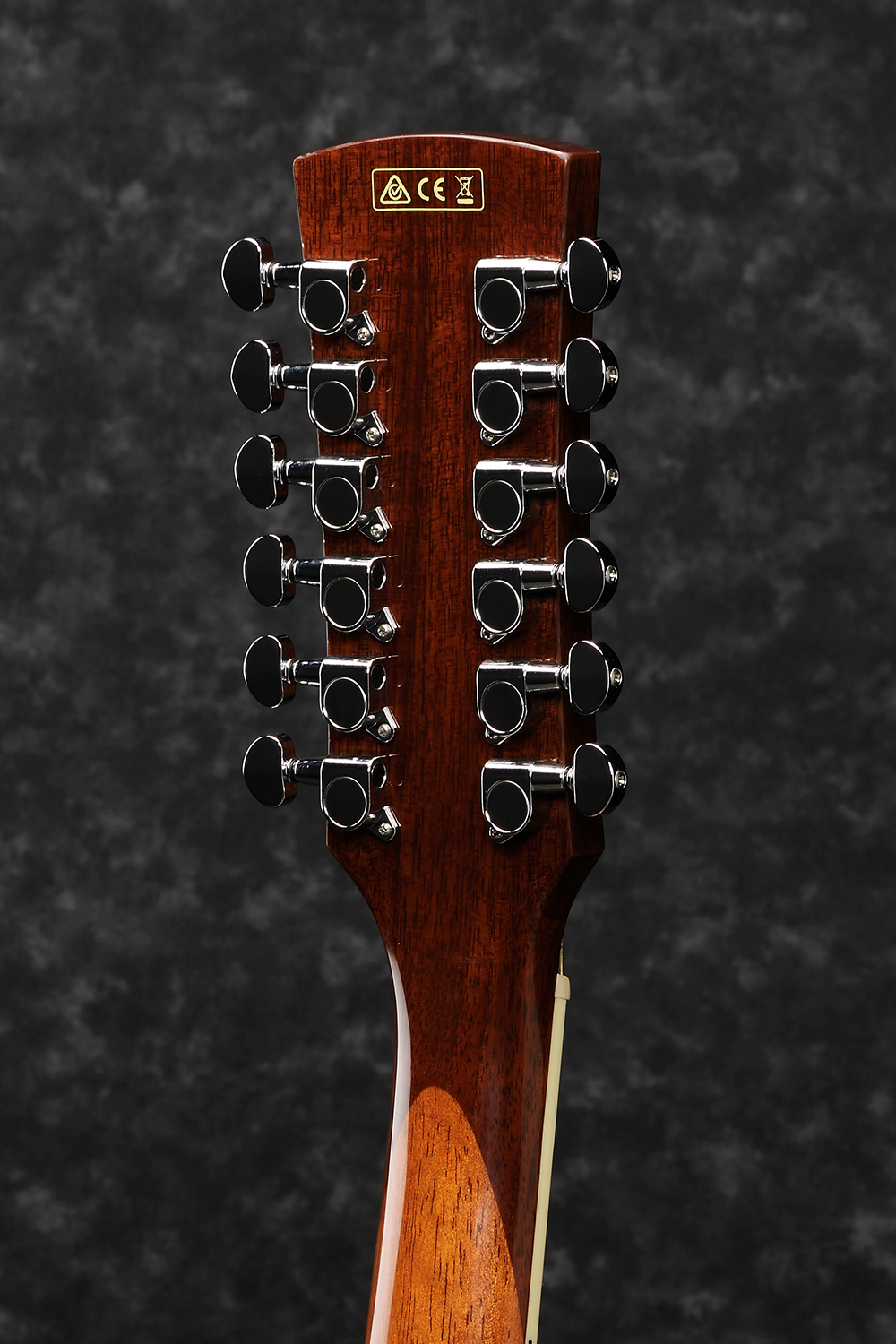 Ibanez PF1512ECE-NT - 4