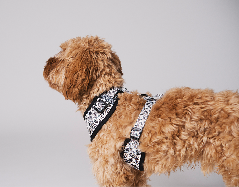 Gustaf &amp; Evita Harness - different variants - 14