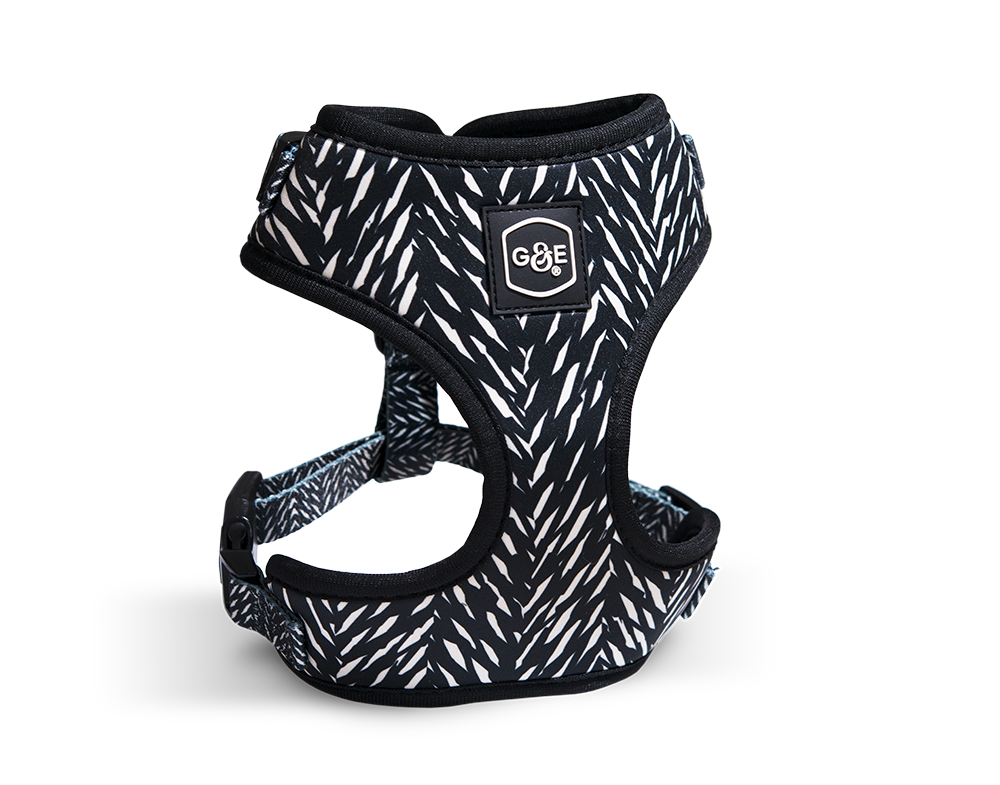 Gustaf &amp; Evita Harness - different variants - 8