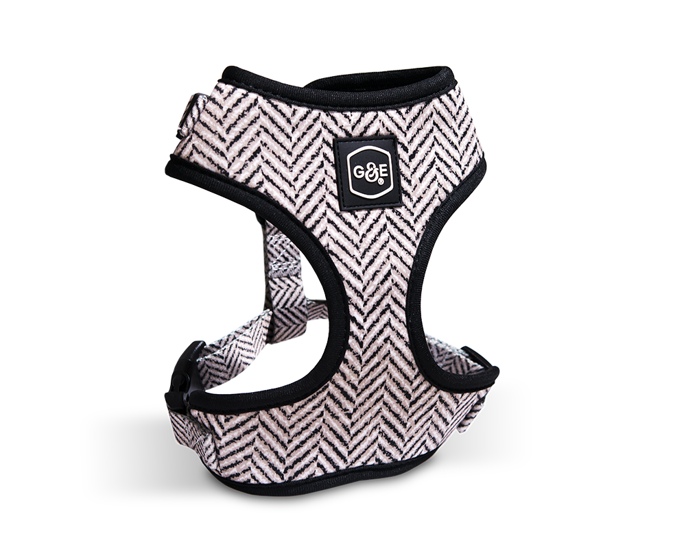 Gustaf &amp; Evita Harness - different variants - 6