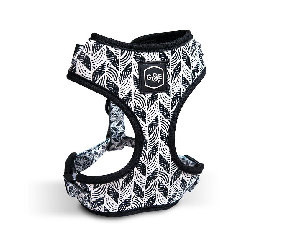 Gustaf &amp; Evita Harness - different variants