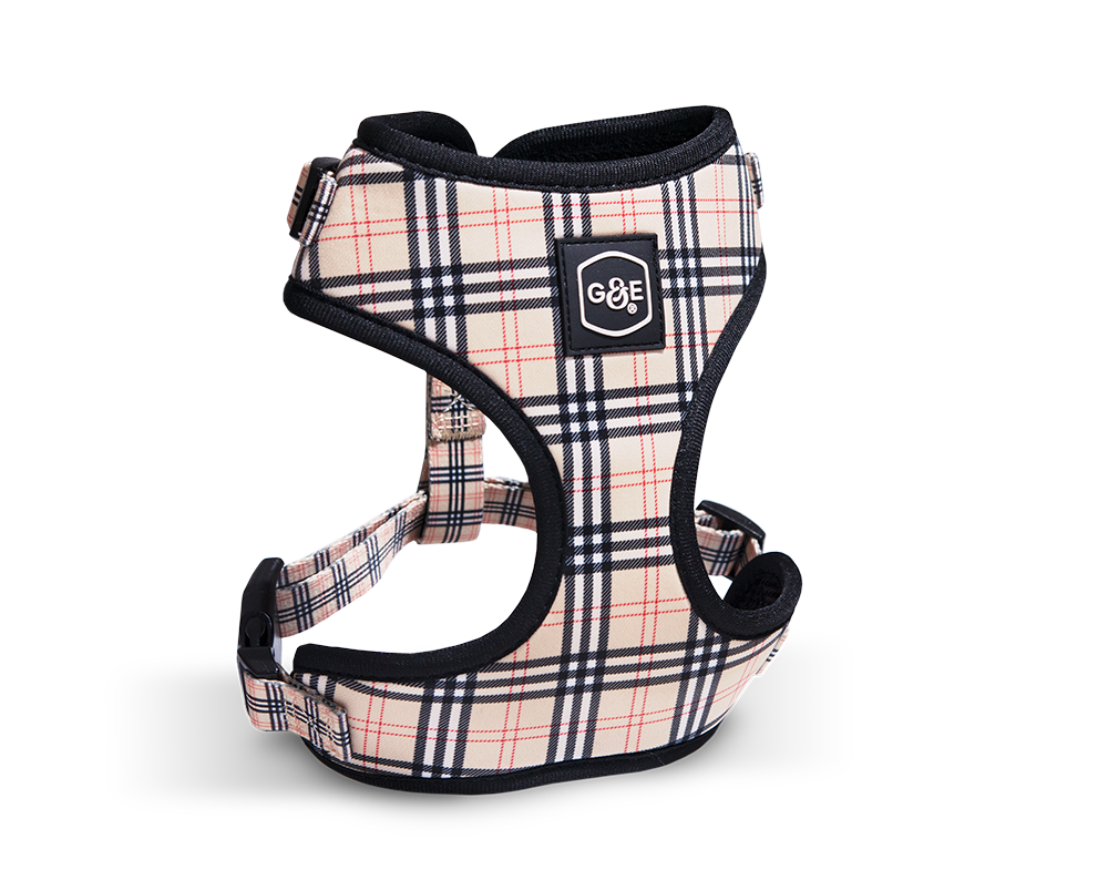 Gustaf &amp; Evita Harness - different variants - 5