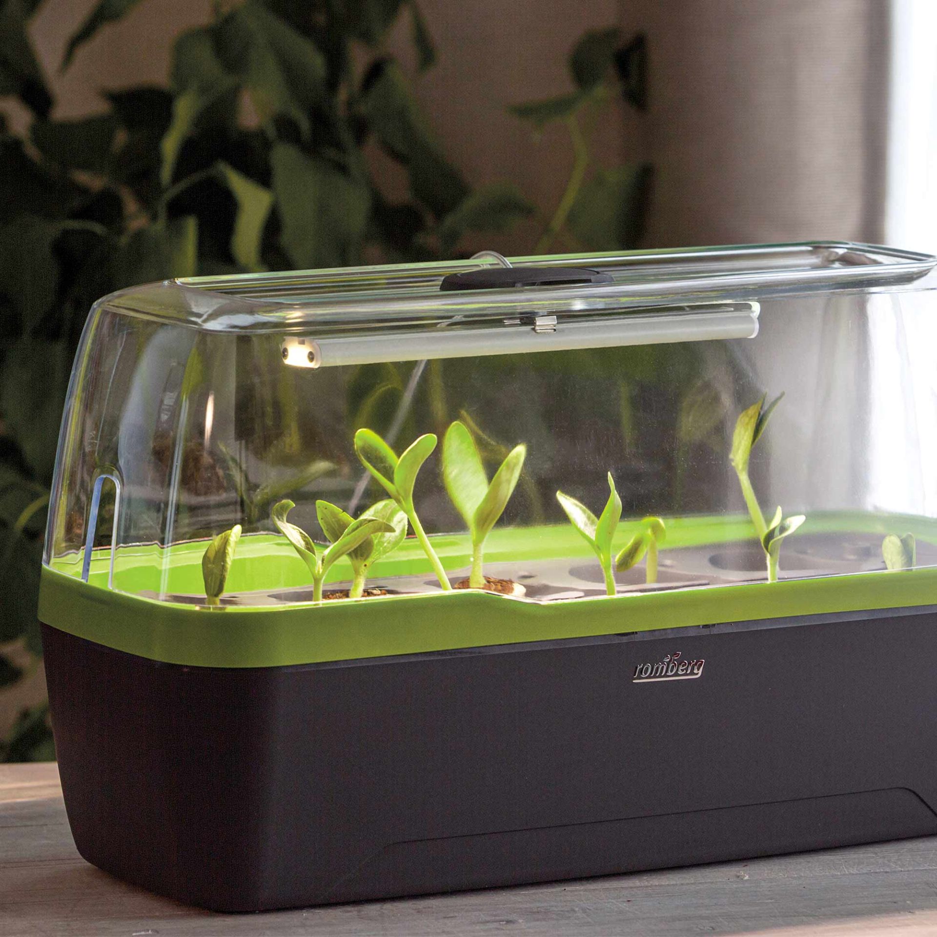 Minidrivhus - BoQube L PLUS LED - Romberg - 3