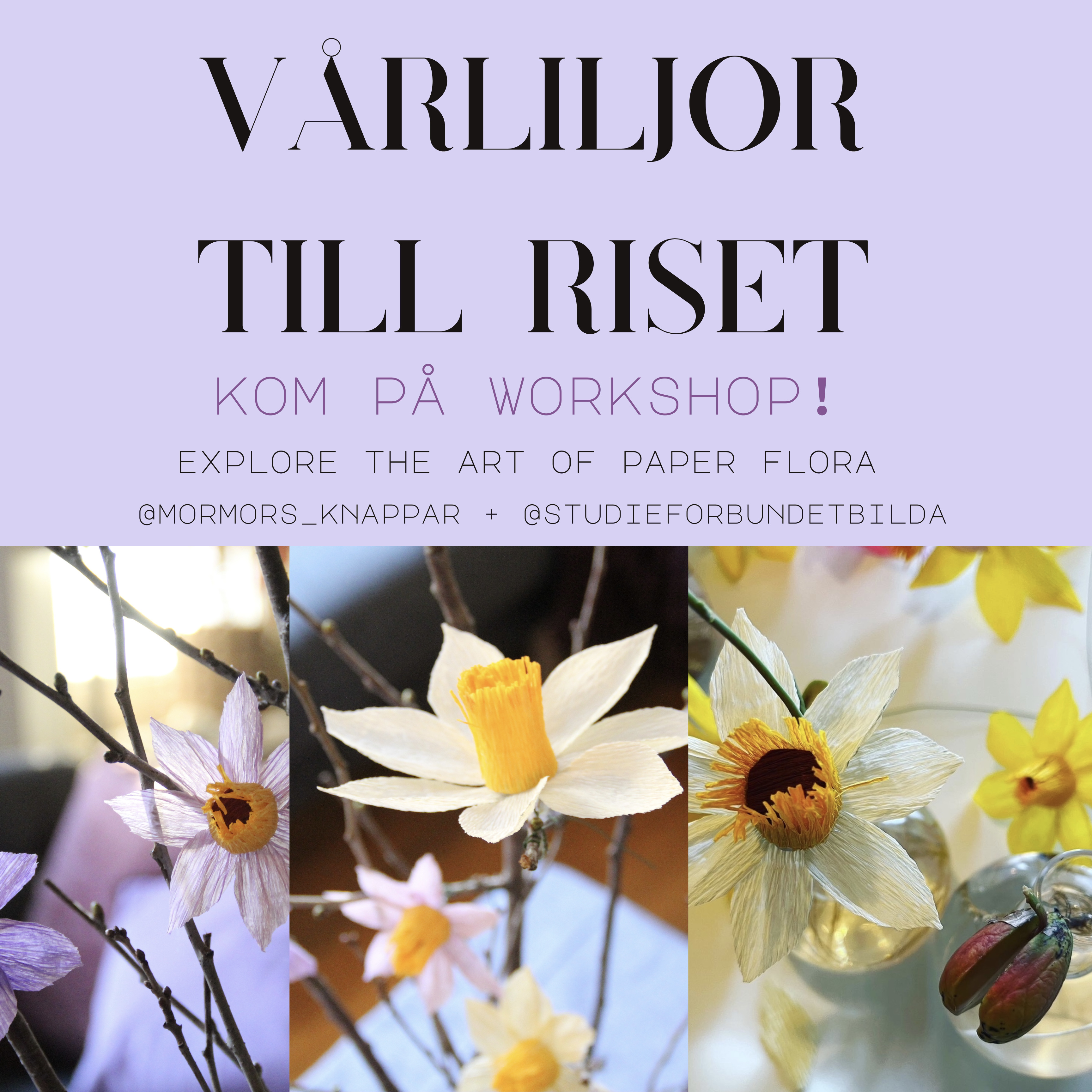 Workshop hos BILDA i Malmö 5/4: Gör vårliljor till riset!