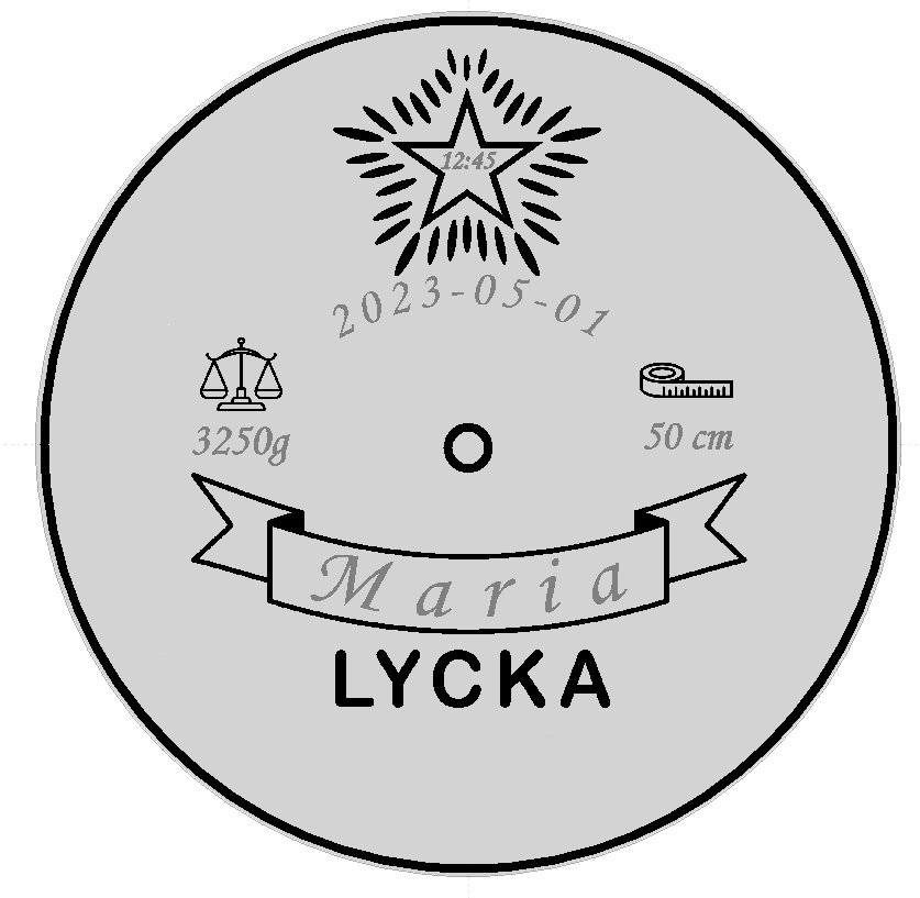 Flaggstång Lyckopenningen Enkel - 8