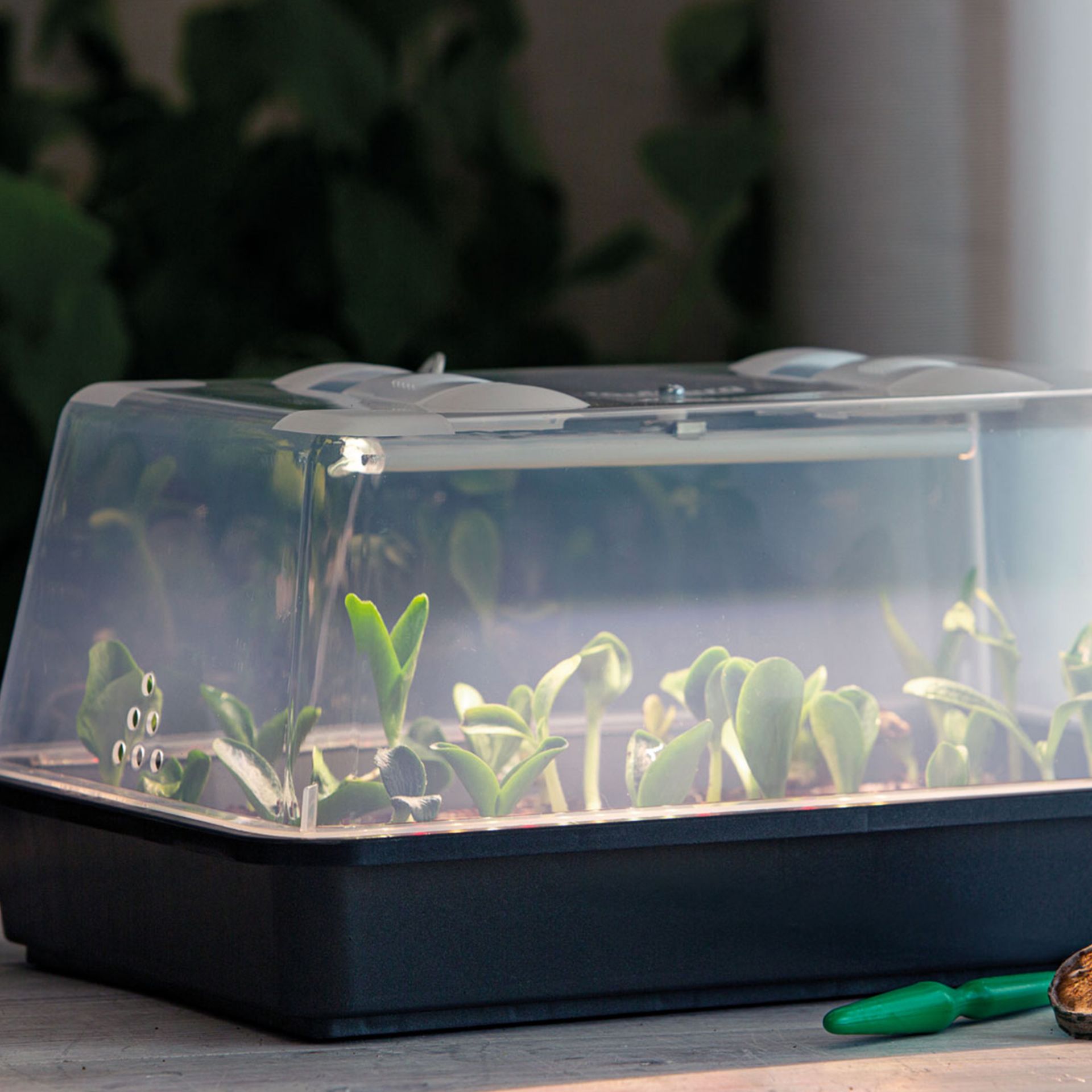 Minidrivhus - Lumio M LED - Romberg