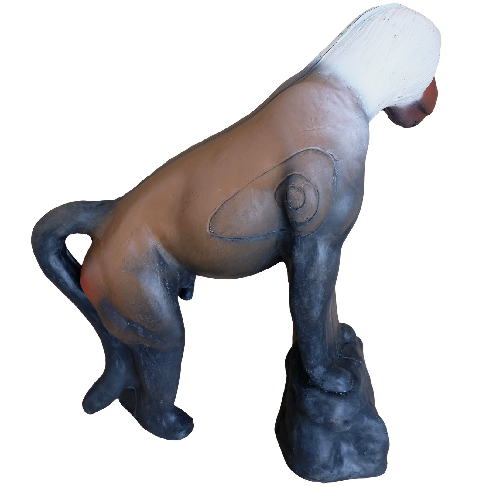 Babian (Papio cynocephalus) - 2