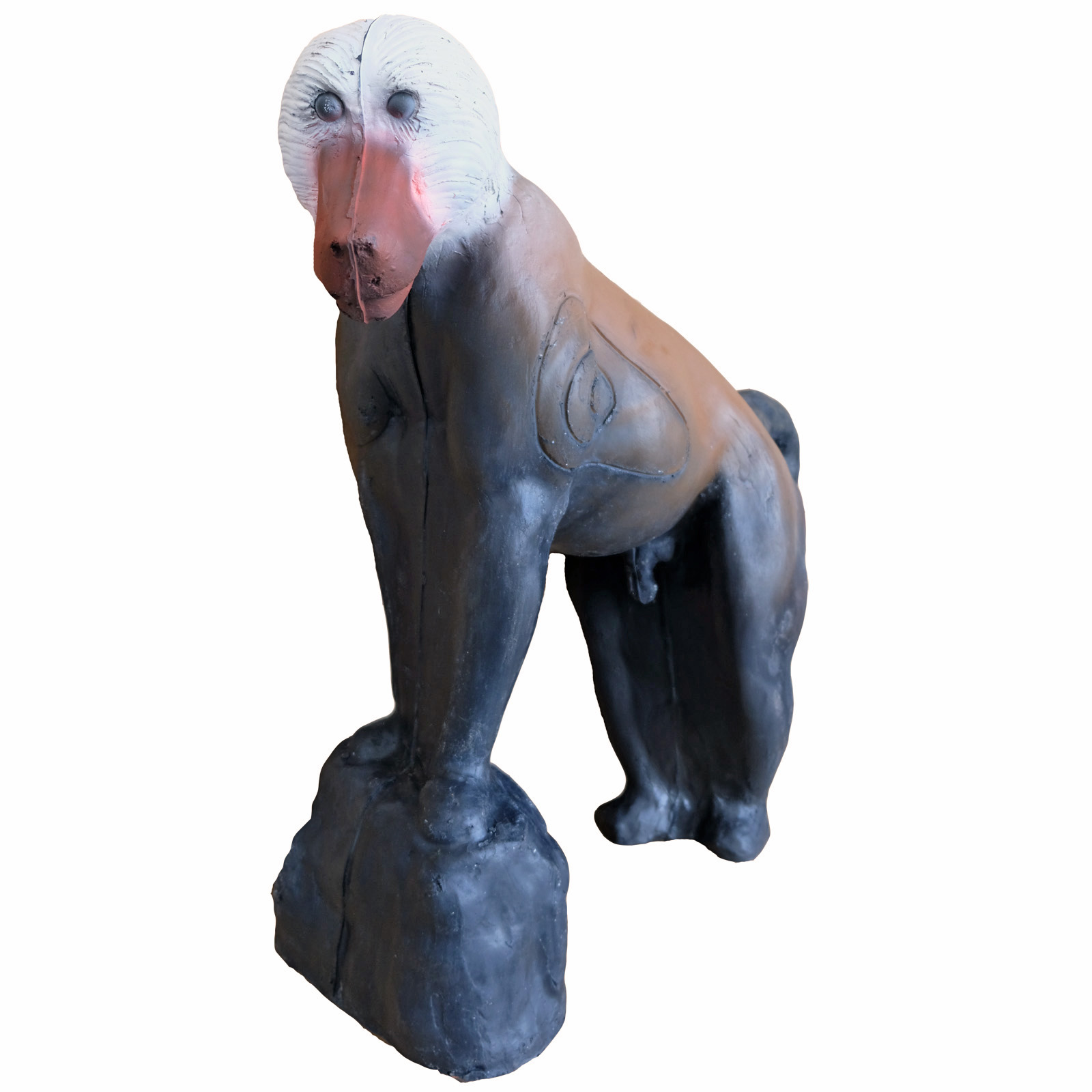 Babian (Papio cynocephalus) - 3