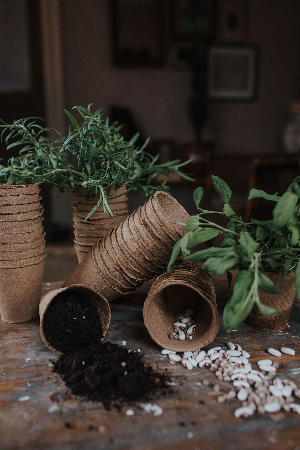 Fiberkrukor - 48 st - 8 cm