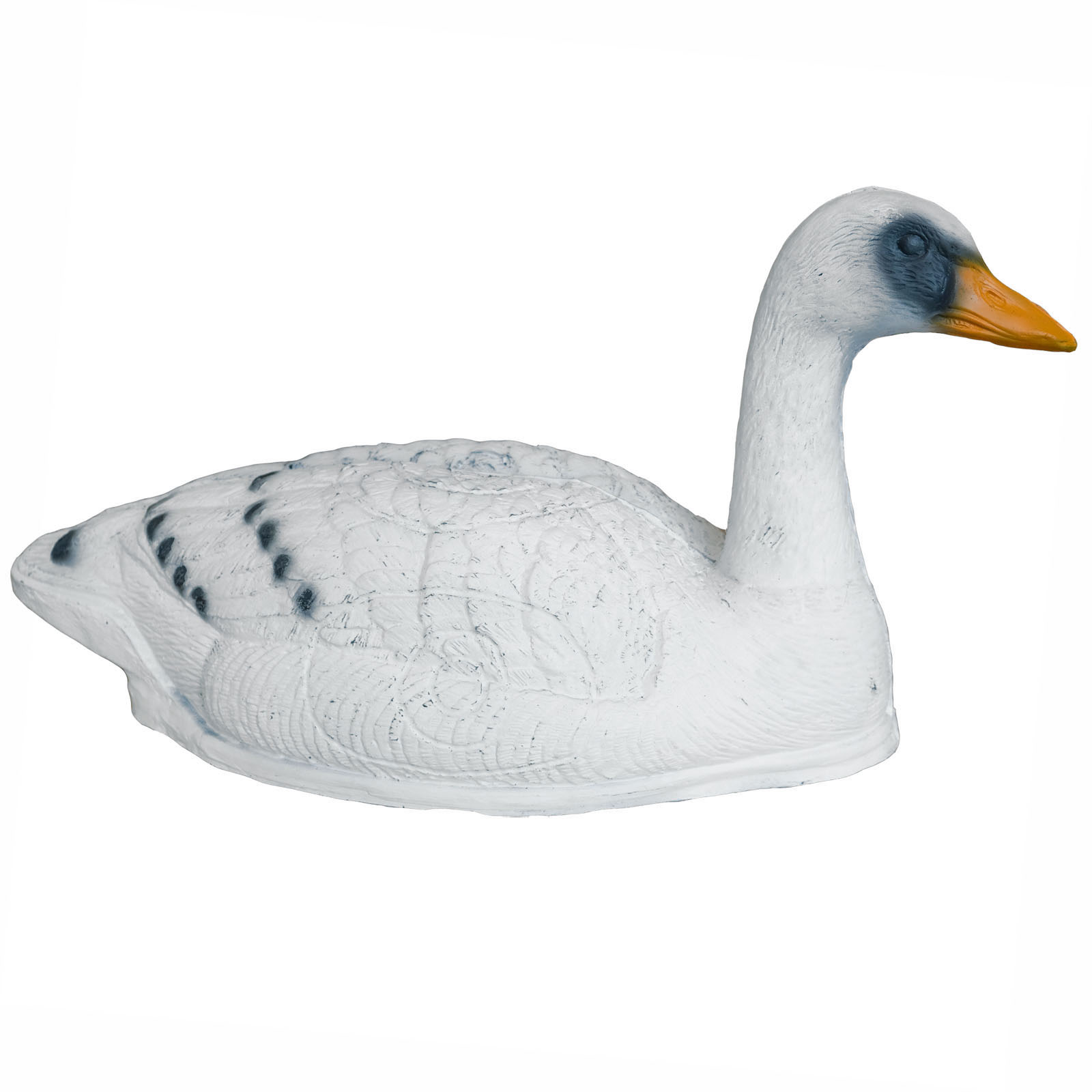 Svan (Cygnini olor) - 2
