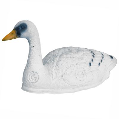 Svan (Cygnini olor)