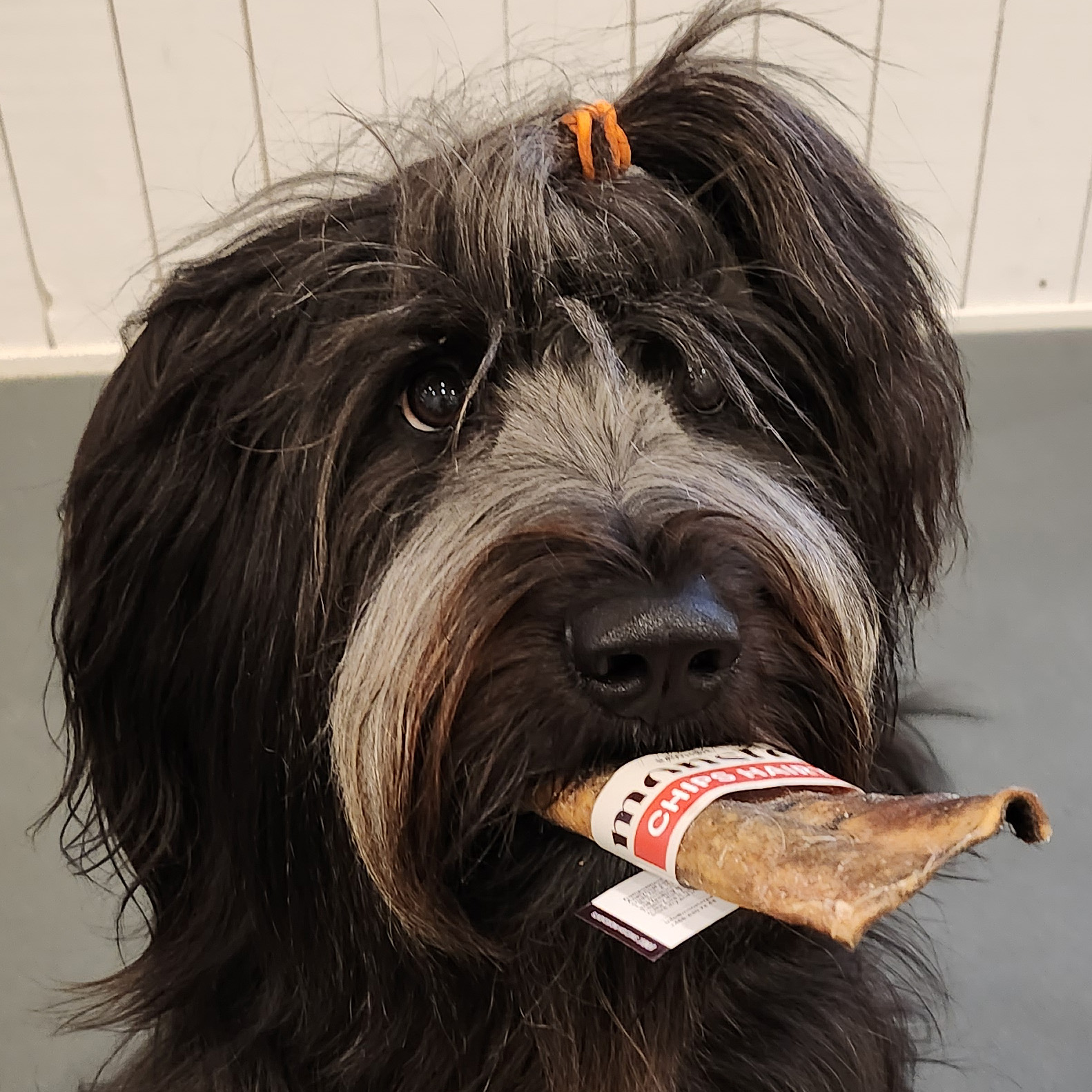 Monster Rawhide Beef Hairy Chips