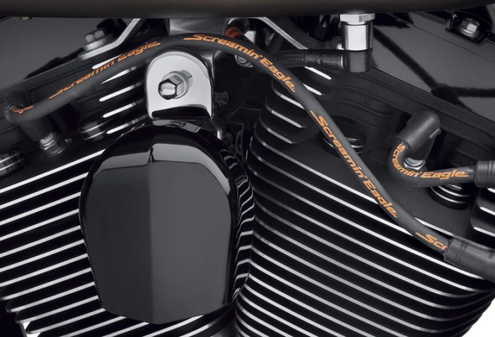 T/Kabel, S/Eagle 2018- Softail,  Svart