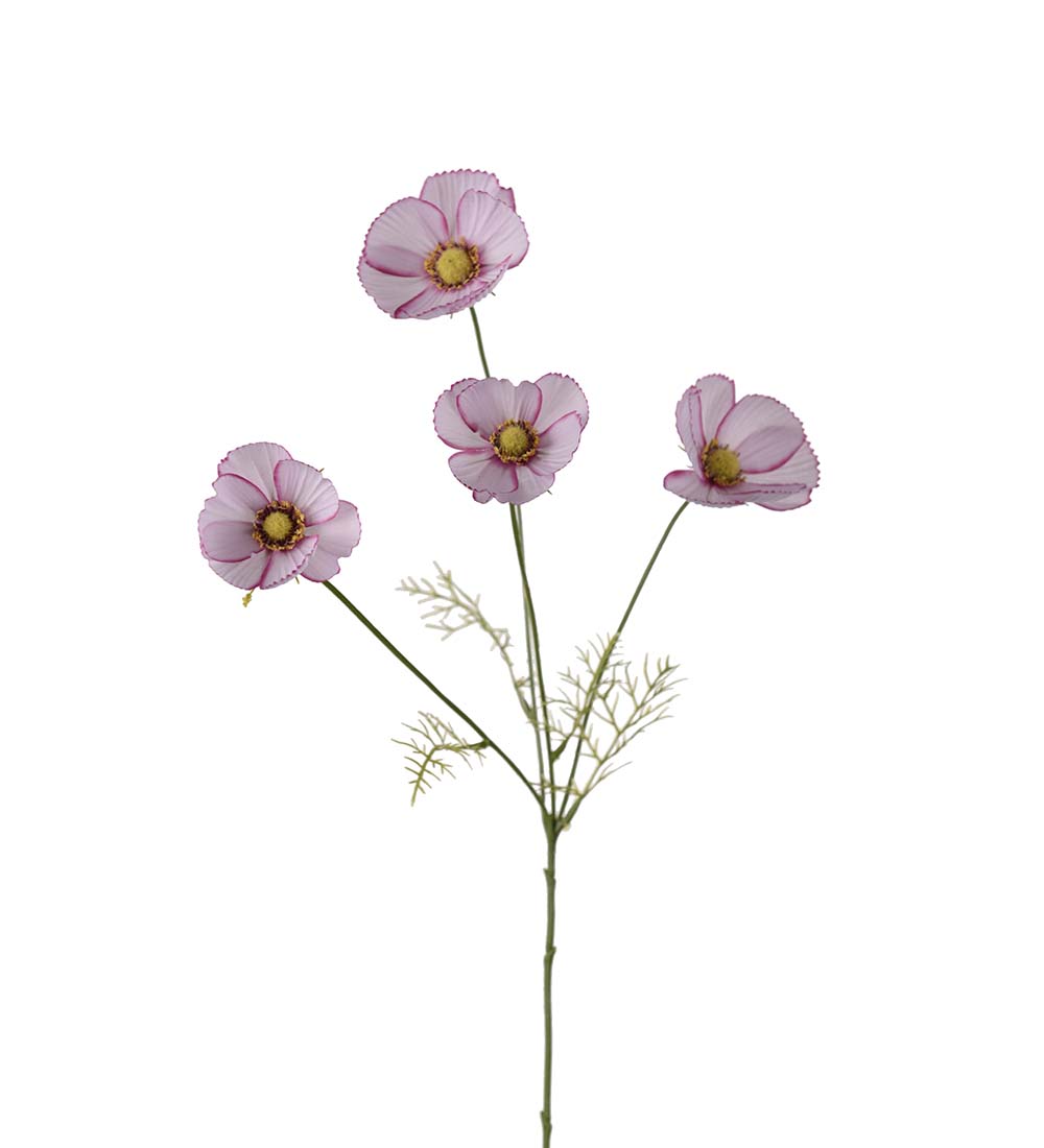 Rosenskära / LilaRosa / H: 60cm